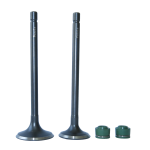 سوپاپ دود و بنزین با لاستیک گیت/VALVE KIT YF